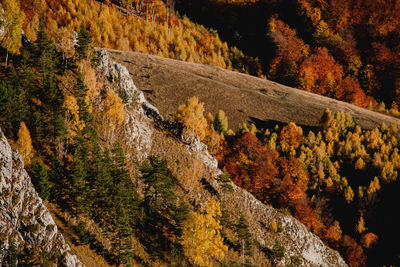 Autumn sunset landscape