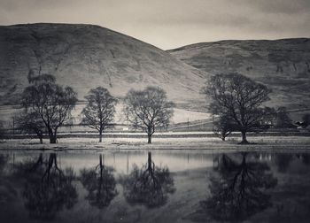 Reflection of trees in lake against sky