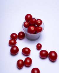 High angle view of tomatoes against white background