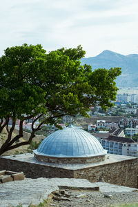 Trees by building against sky