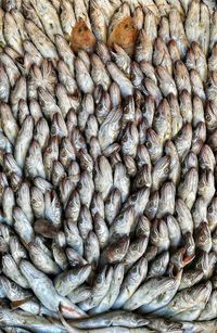 Full frame shot of fish at market