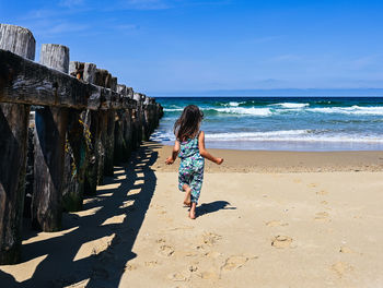 Rear view of person on shore at beach against sky