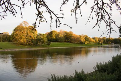 Scenic view of lake by trees against sky