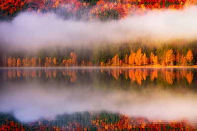 Reflection of trees in lake during autumn