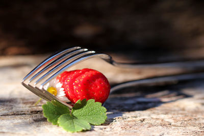 Red strawberry and daisy amidst forks on road during sunny day