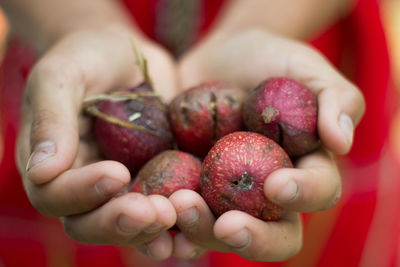 Cropped image of hand holding figs