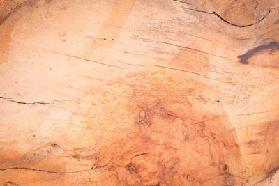 Full frame shot of hardwood floor