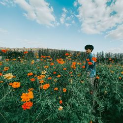 Side view of woman standing amidst flowering plants against sky