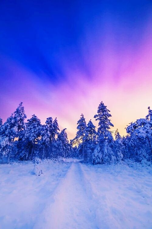 snow, winter, cold temperature, season, weather, tranquil scene, covering, beauty in nature, tranquility, scenics, sky, nature, tree, landscape, frozen, mountain, the way forward, snowcapped mountain, sunset, non-urban scene