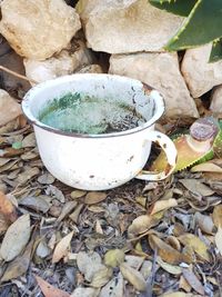 High angle view of dry leaves on rocks