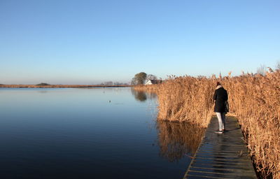 Rear view of man walking on lake against clear sky