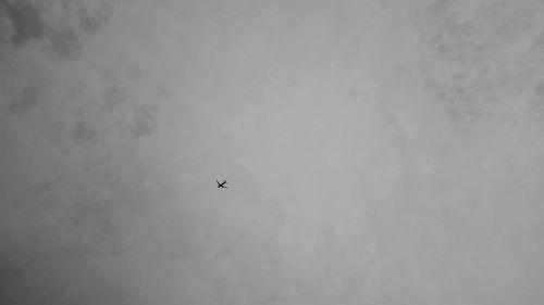 Low angle view of airplane flying in sky