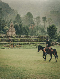 Horse standing on field