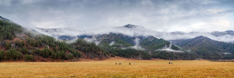 Scenic view of landscape against sky
