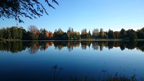 Reflection of trees in calm lake