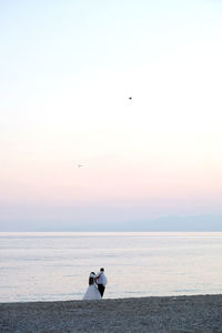 View of dog on beach against sky during sunset