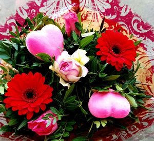 Close-up of pink flowers