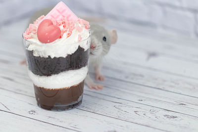 Close-up of cupcakes on table