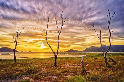 Scenic view of field against sky during sunset