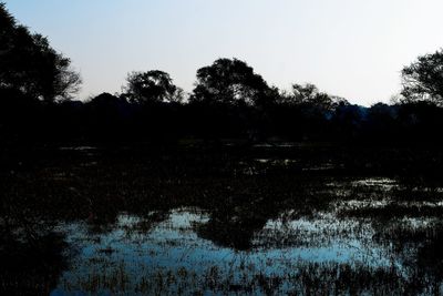 Scenic view of lake in forest against clear sky