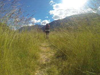 Rear view of man walking on landscape against sky