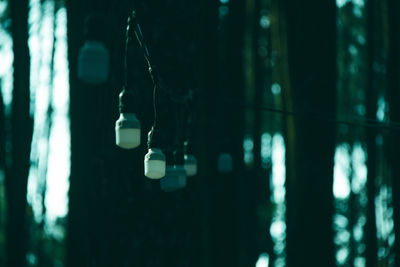 Close-up of illuminated light bulb