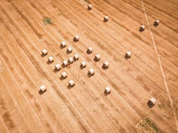 High angle view of hay bale on agricultural field