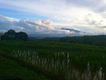 Scenic view of fields against cloudy sky