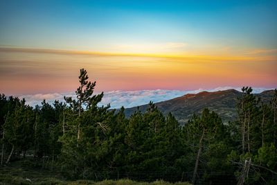 Scenic view of landscape against sky during sunset