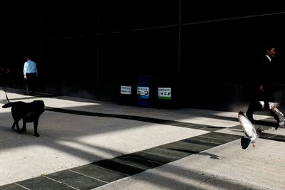 Close-up of illuminated lamp at night