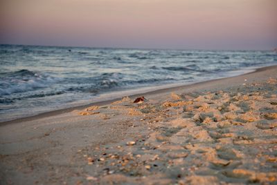 Scenic view of beach during sunset