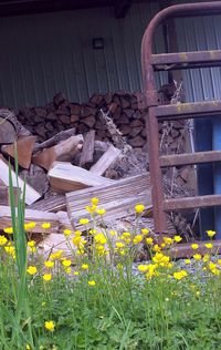 Stack of flowers