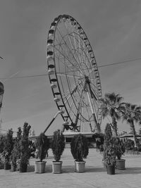 Ferris wheel