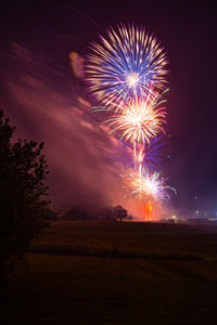 Low angle view of firework display at night