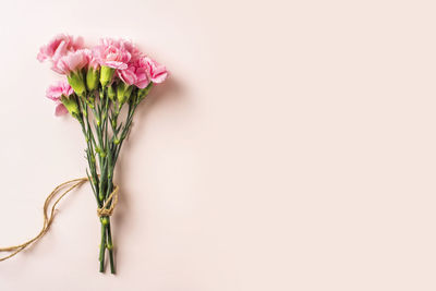Close-up of pink flower vase against white background