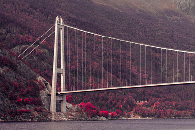 View of suspension bridge against sky