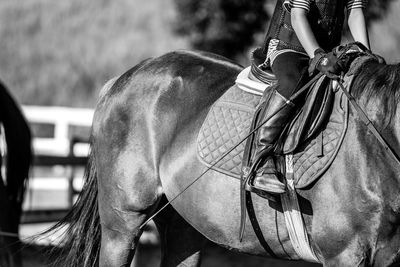 Low section of boy riding horse