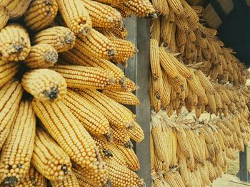 Corns drying in shed