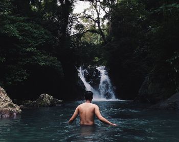 Rear view of shirtless man in waterfall at forest