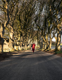 Rear view of person walking on road