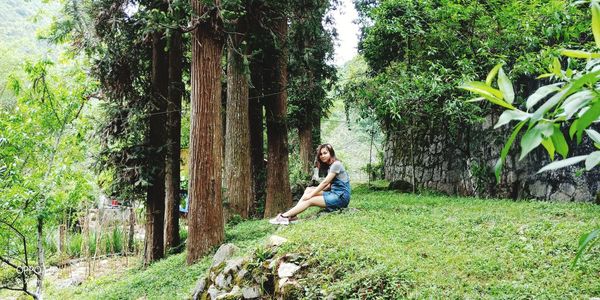 Young woman sitting by trees in forest