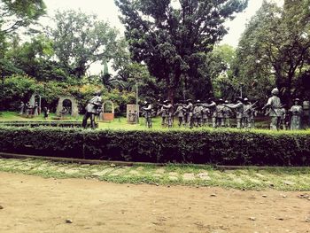 People on field against trees