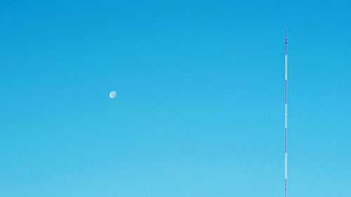 Low angle view of trees against clear blue sky