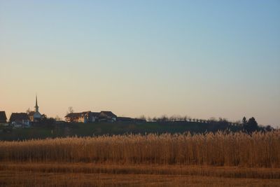 Agricultural field against clear sky during sunset