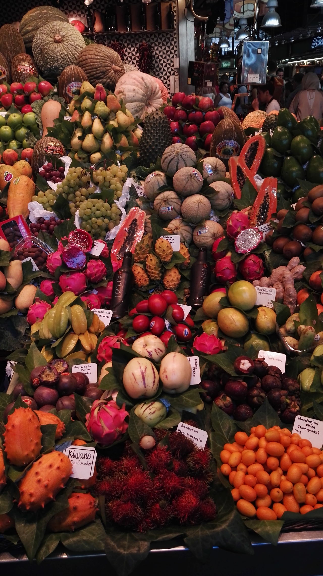 Fruits from all over the world