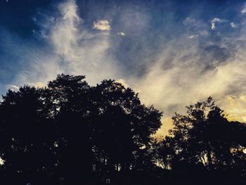 Low angle view of silhouette trees against sky