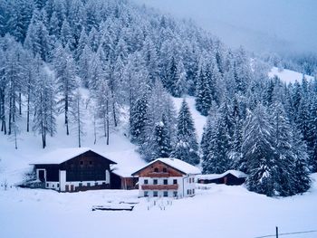 Snow covered trees and buildings against sky