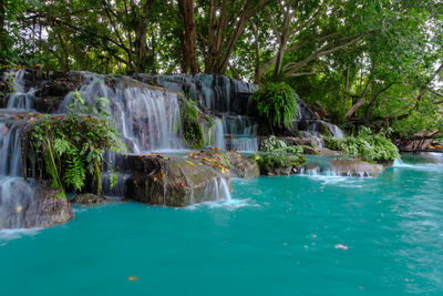 Scenic view of waterfall in forest