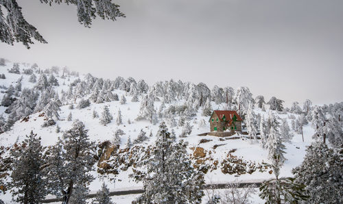 Trees on snow covered land against sky