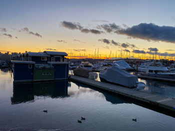 Scenic view of marina life on the ocean against sky during sunset